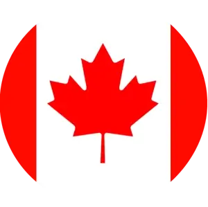 ico_bandera